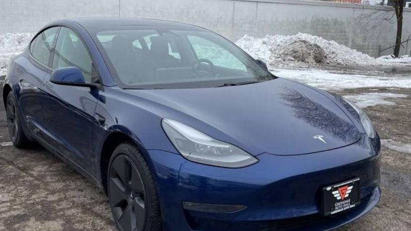 TESLA MODEL 3 2021 5YJ3E1EB5MF979097 image